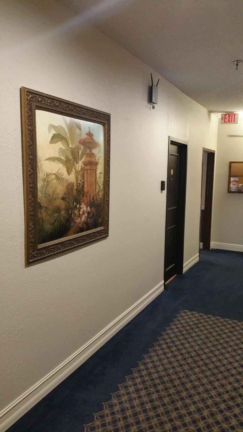 Hyde Park Hotel Tampa Extérieur photo